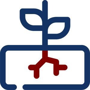 Holistic Growth through Activities